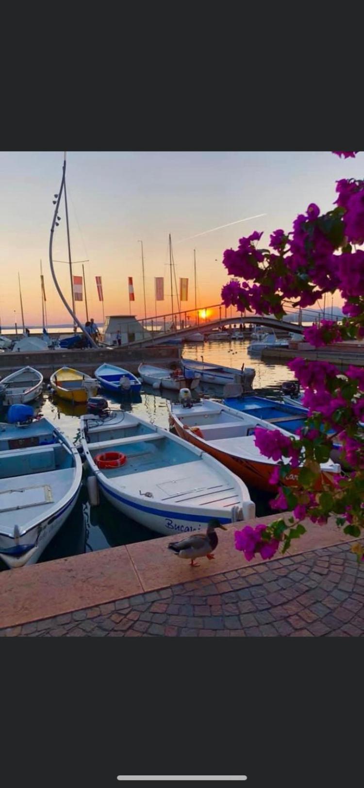 Canevon Suite Apartment Bardolino Bagian luar foto